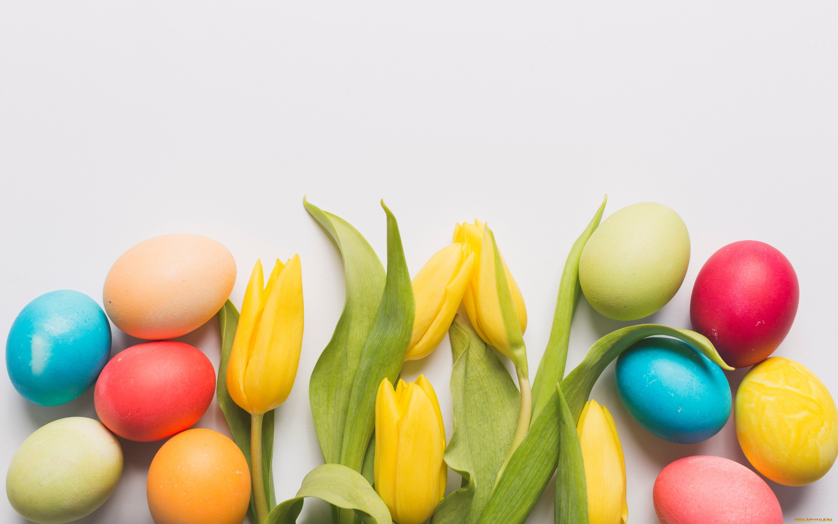 , , , tulips, , easter, , decoration, , happy, spring, eggs, , , flowers, yellow